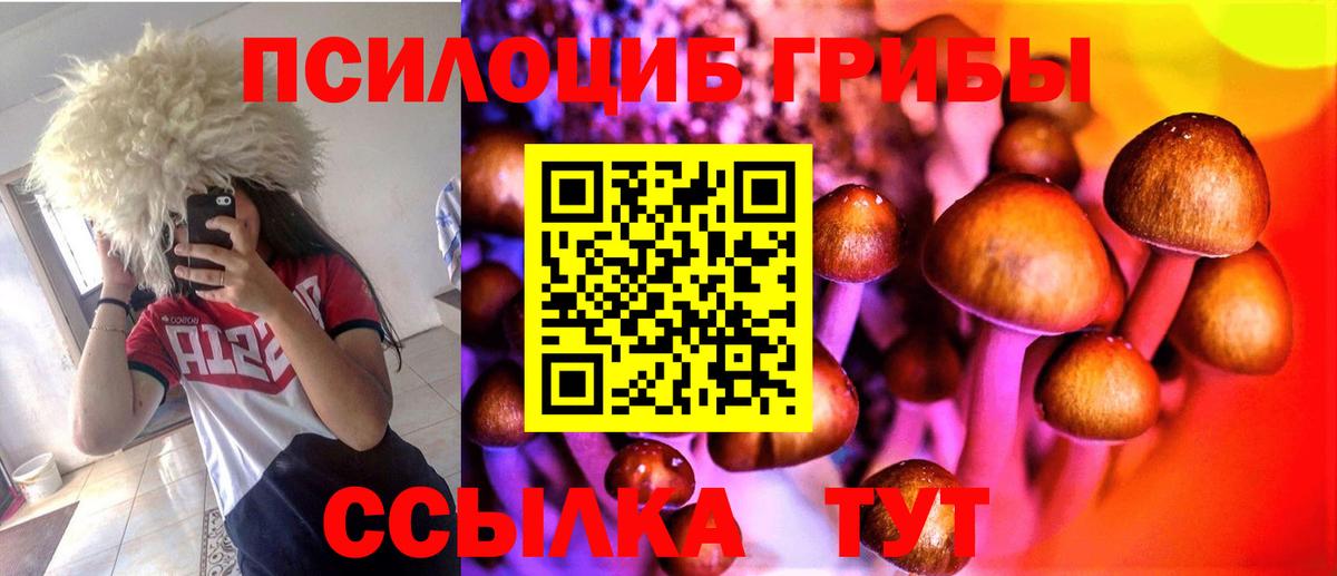 Елизово  закладки  Вход с VPN  Галлюциногенные грибы Magic Shrooms  Галлюциногенные грибы мицелий 